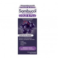Sambucol 黑接骨木果漿 (2-12歲及成人)120ml Sambucol 黑接骨木果漿 (2-12歲及成人)120ml